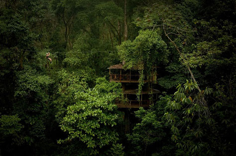 Costa Rican cabin in the jungle